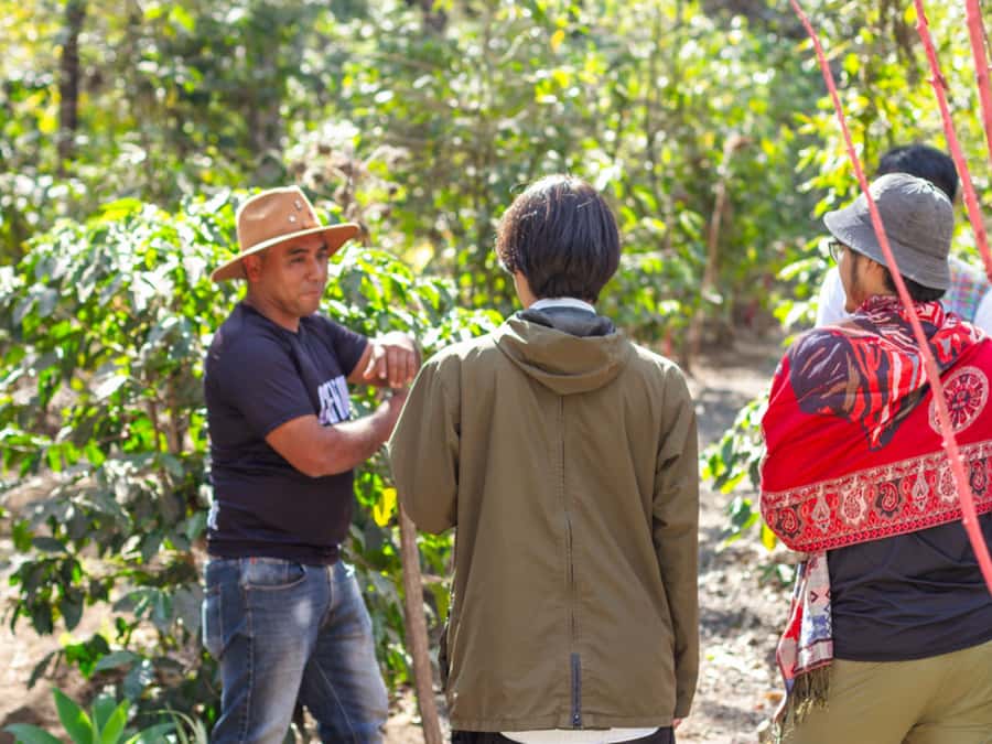 Coffee Tour in Antigua Guatemala - Is $69 a fair price?