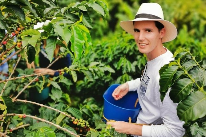 Coffee Tour in the Beautiful Jardin Town: Adventure in the Andes - Walking through Jardín after lunch