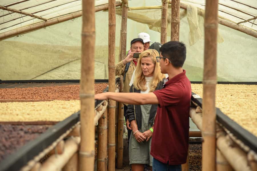 Coffee Tour Salento-Ocaso Farm- English Tour - The guides and the pace of the visit