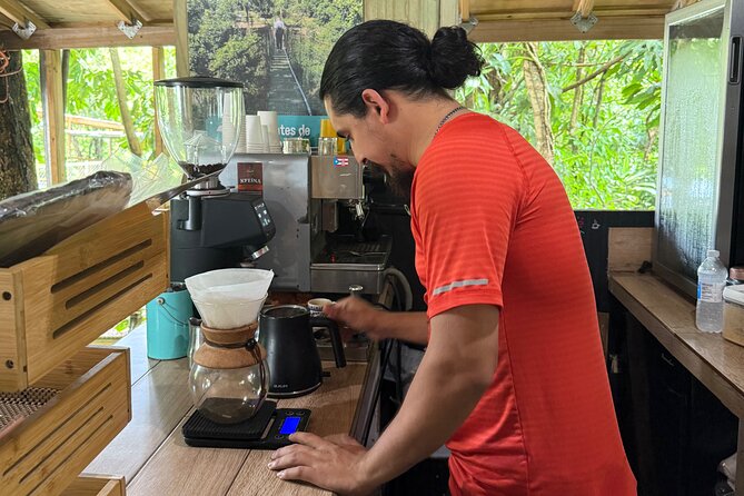 Coffee & Waterfalls Tour: from the mountains to the cup - Chorro de Doña Juana on PR-149