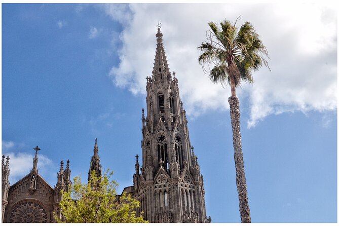 Coffee & Wine: North Route of Gran Canaria Tour - Guía cheese and a small optional tasting