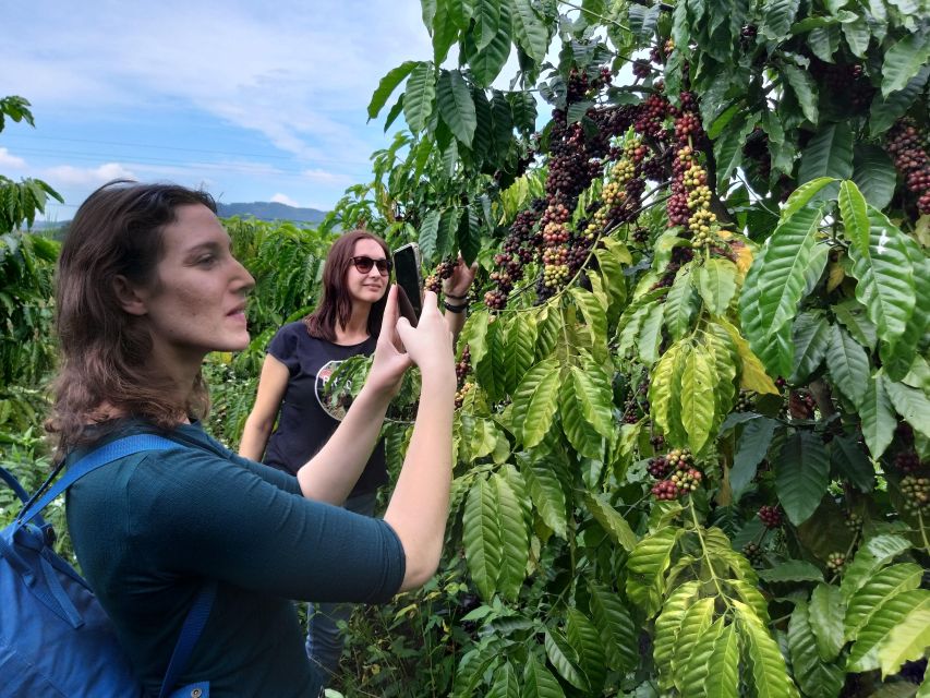 Coffee - Wine - Tea Da Lat's Agricultural Treasures Tour - Key points to know before you book