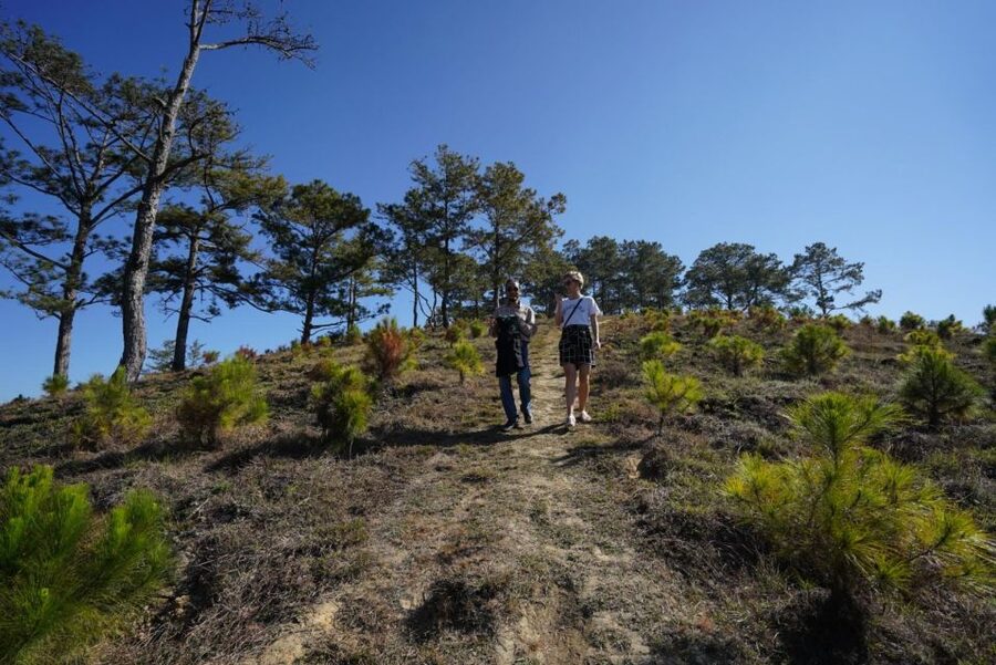 Coffee - Wine - Tea Da Lat's Agricultural Treasures Tour - Why this Da Lat tour works so well