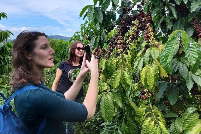 Coffee - Wine - Tea: Dalat Treasures tour - Why this tour works for seeing Da Lat in one day