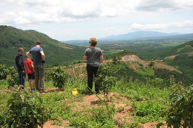 Coffee - Wine - Tea: Dalat Treasures tour - Da Lat Winery: an optional tasting with an extra ticket