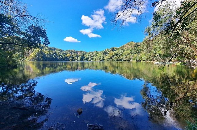 Colima Volcano Cultural Tour: Coffee Plantation, Hacienda and Comala Magic Town - Art and pottery at Ex Hacienda de Nogueras