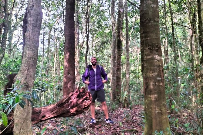 Da Lat Trekking to Langbiang Mountain with Coffee View - Food, fruit, and the practical side of the hike
