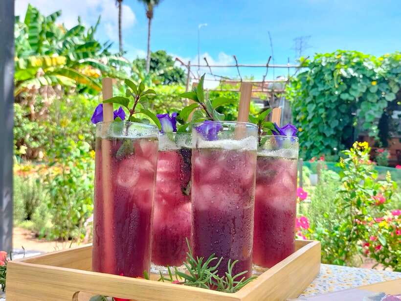 Da Nang Vegetarian Cooking and coffee Class - Coffee after lunch: four Vietnamese styles