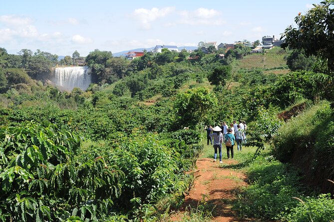Dalat's countryside|Coffee Plantations Tour beyond Elephant falls - Starting at Tam Trinh Coffee Experiences near Lâm Hà