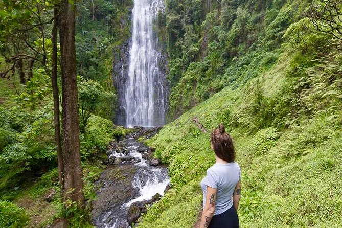 Day Trip Coffee Tour and Materuni Waterfalls - Walking to the 50-meter Materuni Waterfalls