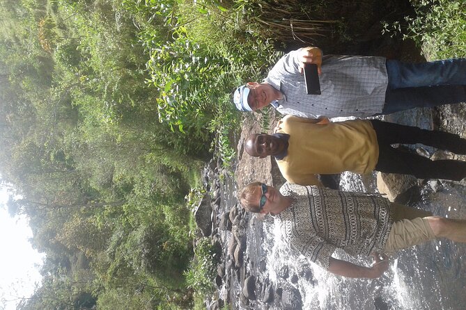 Day Trip Coffee Tour and Materuni Waterfalls - Lunch and the value of the included meal