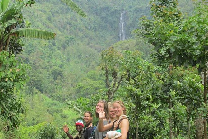 Day Trip Coffee Tour and Materuni Waterfalls - How the private format affects the day