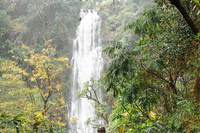 Day trip to Materuni waterfall, Coffee tour and Moshi Nightlife - Seeing Kibo and Moshi on foot