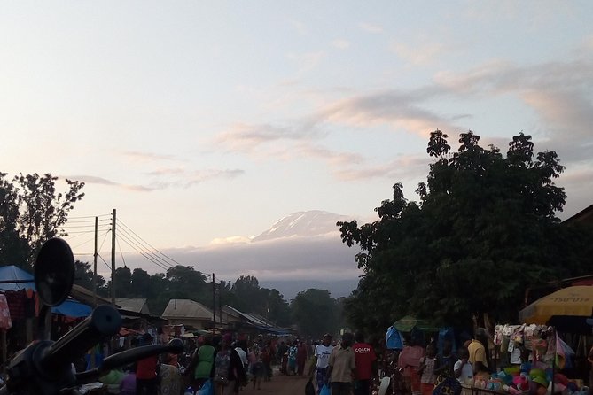 Day trip to materuni waterfalls and coffee tour - The walk through Materuni village and coffee country