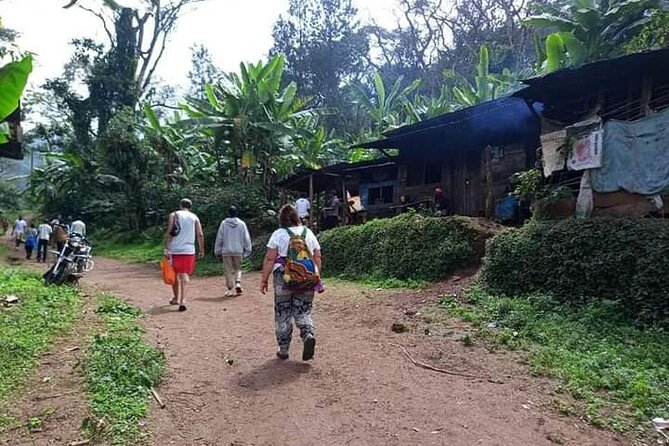 Day trip to materuni waterfalls and coffee tour - Is $70 a fair price?