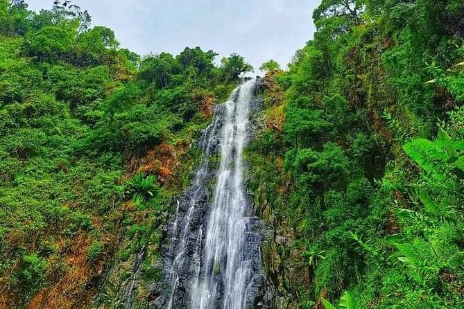 Day trip to materuni waterfalls and coffee tour - What to know about meeting, transport, and timing