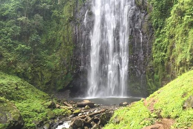 Day trip to materuni waterfalls and coffee tour - Reaching the waterfall and making time for a swim