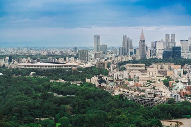 Discover Japanese Politics Over a Coffee in Tokyo - Practical details that affect your day