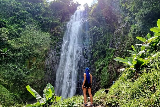 Discover Nature and Culture of Materuni Waterfall & Coffee Tour - Key points to know before you book