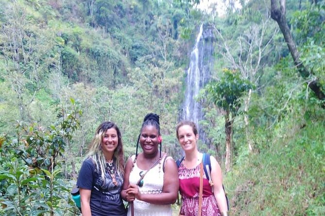 Discover Nature and Culture of Materuni Waterfall & Coffee Tour - Timing, transport, and what to bring