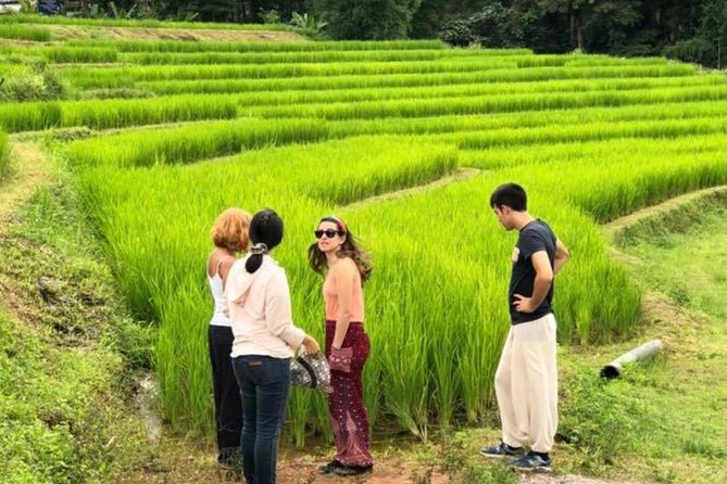 Doi Inthanon Day Trip:Twin Pagodas,Soft Hiking,Coffee Plantation - Wachirathan Falls and the power of the water