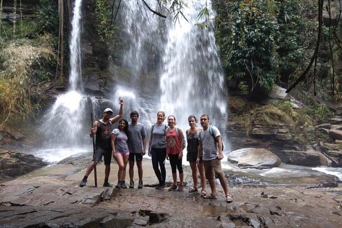 Doi Inthanon Day Trip:Twin Pagodas,Soft Hiking,Coffee Plantation - Rice fields, crops, and the coffee question