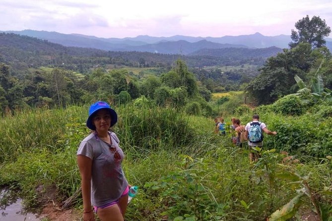 Doi Inthanon Day Trip:Twin Pagodas,Soft Hiking,Coffee Plantation - Twin Royal Pagodas near the summit