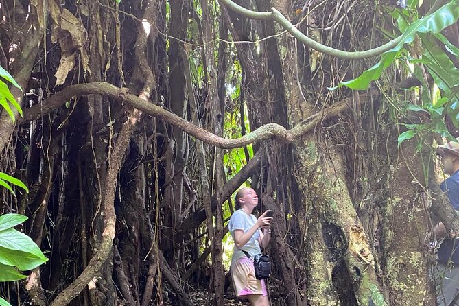Efate Highlights: LocalVillage Walk, Coffee Tasting & Beach Chill - Walking Through Ekasup Village