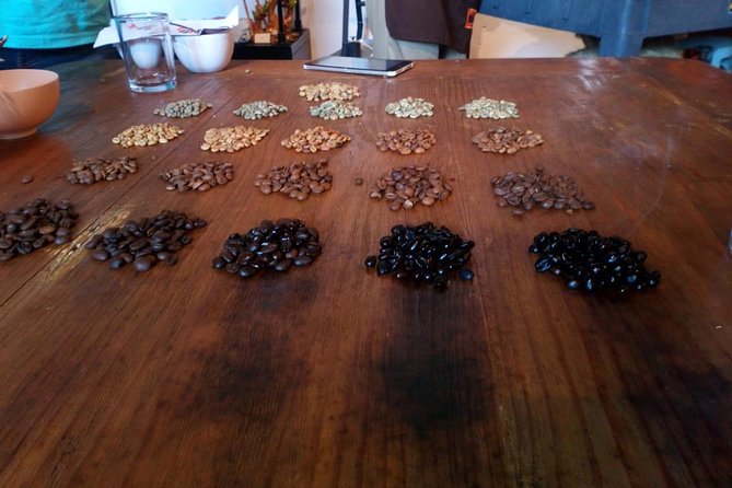Enjoy the coffee route in Coatepec Magical Town - Three hours to wander Coatepec