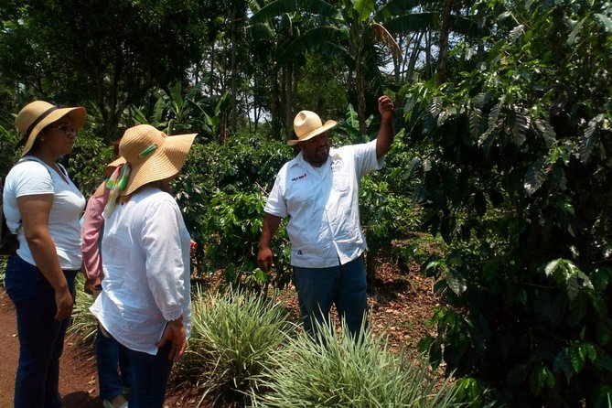 Enjoy the coffee route in Coatepec Magical Town - Transport, group size, and the value of included services