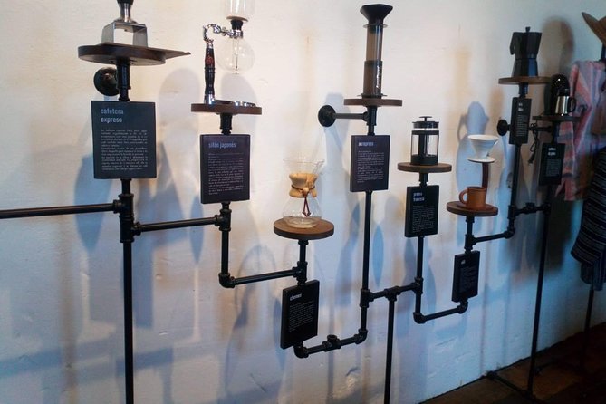 Enjoy the coffee route in Coatepec Magical Town - Who should choose this experience