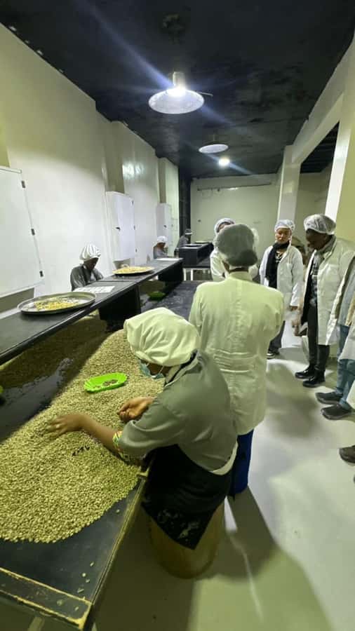 Ethiopia coffee cupping class/Ethiopian food injera making - Lunch with shiro, misir wot, and local sides