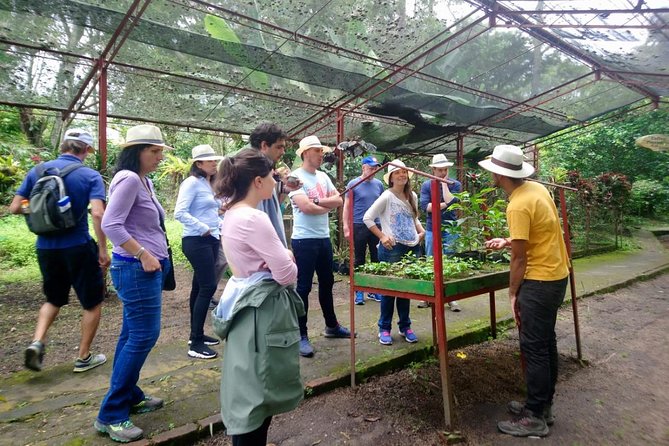 Exclusive Coffee Experience:Tour from Bogotá - Why the gardens add to the visit