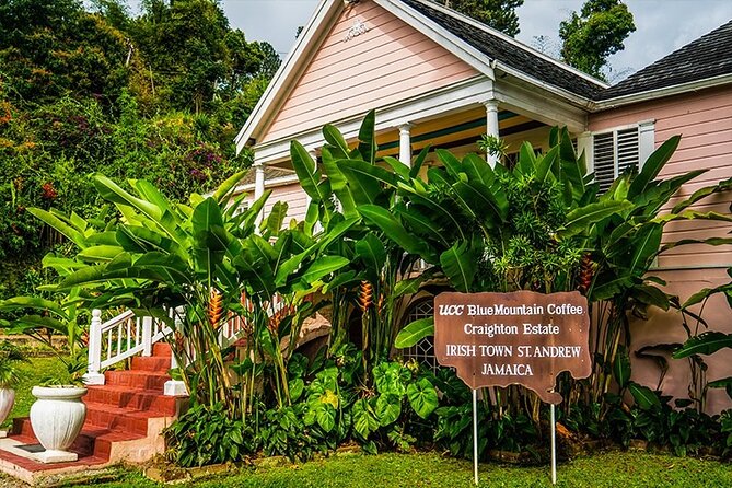 Exotic Blue Mountain Coffee Tour - Why the Blue Mountains make this a full-day outing