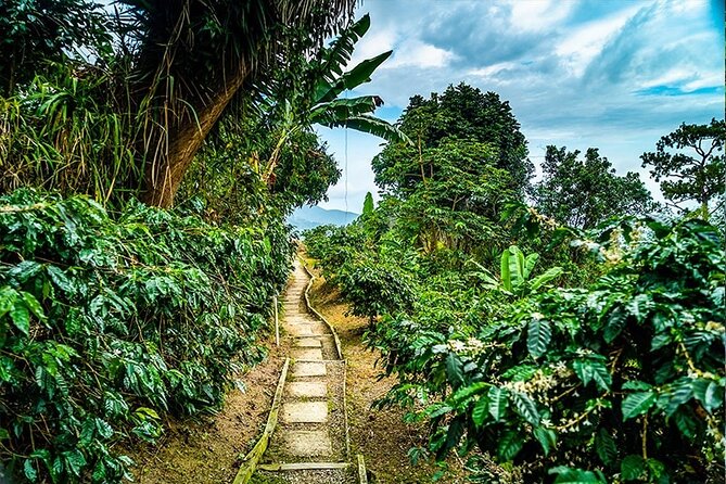 Exotic Blue Mountain Coffee Tour - The Bob Marley Museum is an optional cultural addition