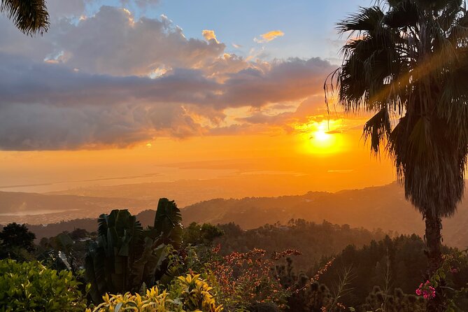 Exotic Blue Mountain Coffee Tour - What happens during the coffee tour