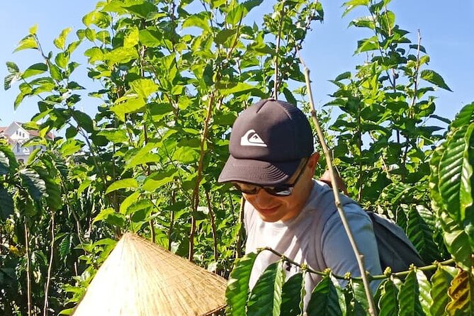 Experience Making specialty coffee in Da Lat City - Roasting your own beans