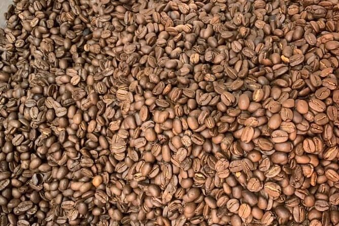 Experience Making specialty coffee in Da Lat City - What the $21 price gets you
