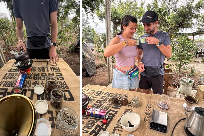 Experience: Organic Coffee, Avocados, Honey & More! - A working farm, not a staged coffee stop