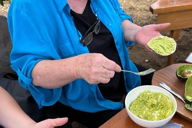 Experience: Organic Coffee, Avocados, Honey & More! - Avocados, tortillas, and guacamole