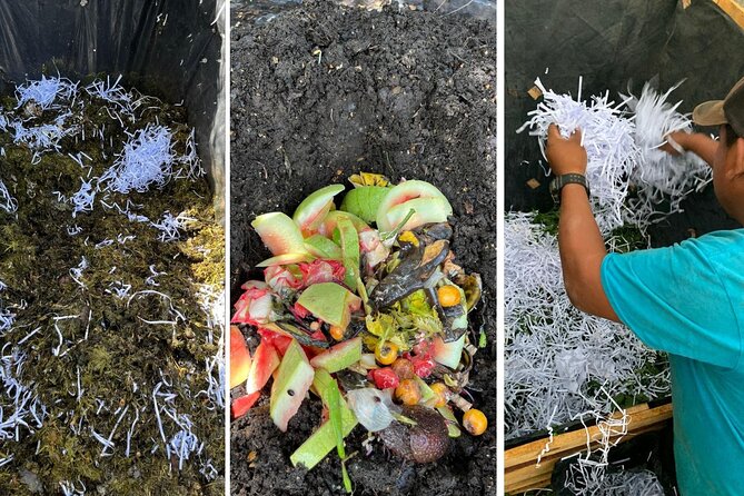 Experience: Organic Coffee, Avocados, Honey & More! - A family farm with a personal feel