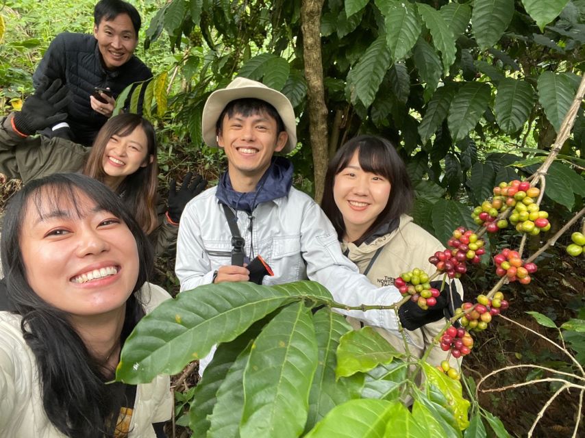 Experience specialty coffee with sustainable coffee farmers - Comparing light, medium, and dark roast