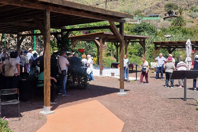 Explore Gran Canaria’s Coffee at Finca Los Castaños - Why coffee in Agaete is worth your time