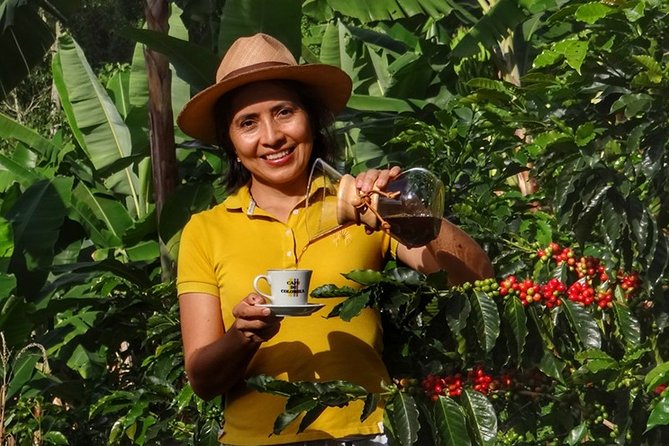 Explore the Coffee Process_From Tree to Cup & Fun by Jeep - Key points to know before booking