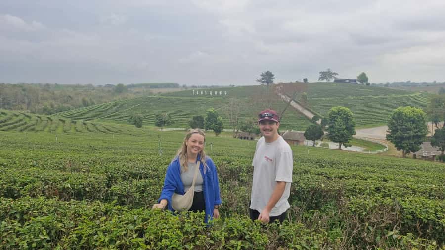 Explorer Border road and Nature ( Tea and Coffee ) - Ban Pha Hee and Ban Pha Mi show a different side of Chiang Rai