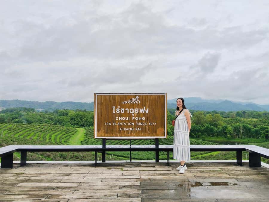 Explorer Border road and Nature ( Tea and Coffee ) - Choui Fong Tea Plantation starts the morning