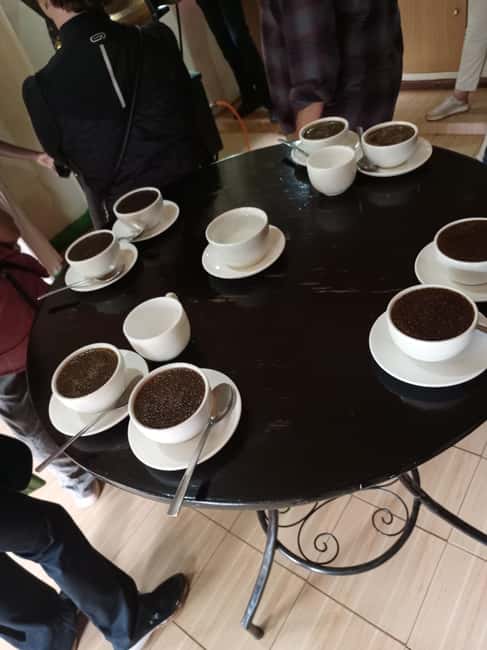FAIRVIEW COFFEE FARM DAY TOUR - Walking through Kenya’s coffee story