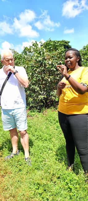 FAIRVIEW COFFEE FARM DAY TOUR - Who will enjoy this Fairview visit?