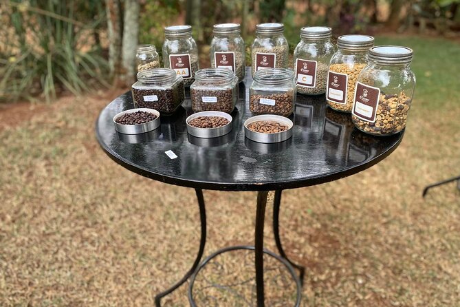 Fairview Estate Coffee Farm Tour With Pick up - Is $105 per person a fair value?