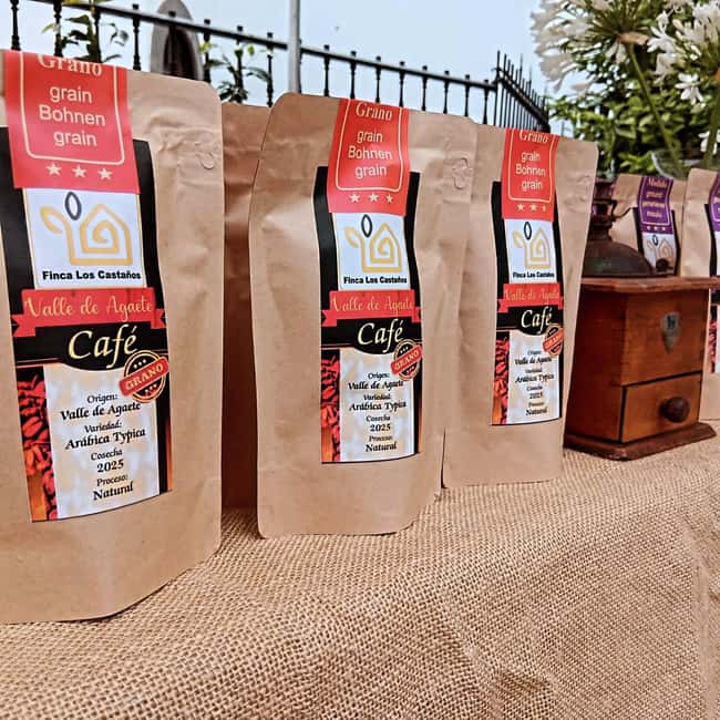 Finca Los Castaños: Agaete Valley Coffee Tour & Tasting - Walking through the coffee plants